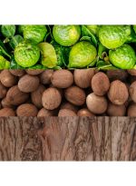 كالفن كلاين عطر مان أو دي تواليت 100ملليلتر - Image 4