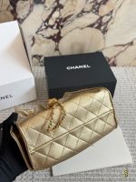 Chanel 25s hobo - Image 5