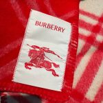 Check Wool Scarf Crayon red - Image 8