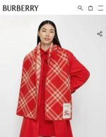 Check Wool Scarf Crayon red - Image 10