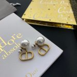 Dior Tribales Earrings - Image 4