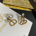 Dior Tribales Earrings - Image 5