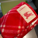 Check Wool Scarf Crayon red - Image 3