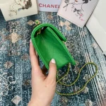 Chane Model: AS2356 Size: 18*14.5*8 - Image 3