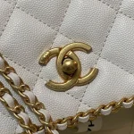 CHANE Style: AS3468 Size: 21*15*7.5cm - Image 2