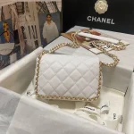 CHANE Style: AS3468 Size: 21*15*7.5cm - Image 3