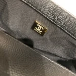 All steel light gold buckle Size: 20Cm - Image 3