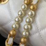 Calfskin Reference: AS3001 Dimensions: 23×15.5×7.5cm - Image 3