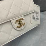 Chane Xiaoxiang Classic Bag Model: AS3002 size: 18/13/7 - Image 3