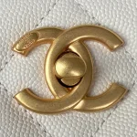 CHANE Underarm Bag Lychee Leather Size: 24.5×21.5x8cm - Image 6