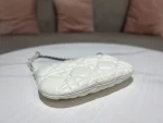 DIOR CARO Tulip Handbag Size: 25*16*2.5cm - Image 3