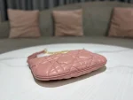 DIOR CARO Tulip Handbag Size: 25*16*2.5cm - Image 5