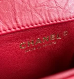 Chane Phone Case Model: AS1961 Phone Case Size: 17*13*5.5cm - Image 6