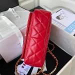 Calfskin Reference: AS3001 Dimensions: 23×15.5×7.5cm - Image 4