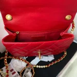 Calfskin Reference: AS3001 Dimensions: 23×15.5×7.5cm - Image 5