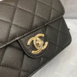 Chane Xiaoxiang Classic Bag Model: AS3002 size: 18/13/7 - Image 6