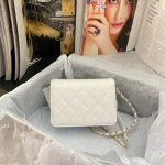 Chane Xiaoxiang Classic Bag Model: AS3002 size: 18/13/7 - Image 5