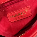 Chane One Shoulder Crossbody Model: AS2842 Size 24 6.5 18cm - Image 4