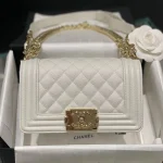 All steel light gold buckle Size: 20Cm