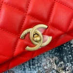 Chane Model: AS2356 Size: 18*14.5*8 - Image 8