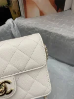 Chane Xiaoxiang Classic Bag Model: AS3002 size: 18/13/7 - Image 7