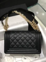 All steel light gold buckle Size: 20Cm - Image 6