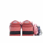 Concepts x Nike SB Dunk Low - Image 7