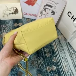 Chane Stone Bucket Bag Model: AS2381 Size: 19X23.5X9.5 - Image 9