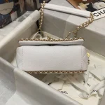 CHANE Style: AS3468 Size: 21*15*7.5cm - Image 8