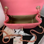 Chane Small Golden Ball One Shoulder Crossbody Model: AS1786 Size: 17cm - Image 9