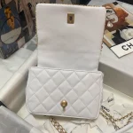 CHANE Style: AS3468 Size: 21*15*7.5cm - Image 9