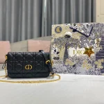 Caro Chain Clutch Bag Size:17.5*10.5*5cm