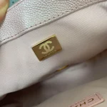 Chane Sachet Model AS2855 Dimensions: 19x13x6cm - Image 9