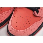 Concepts x Nike SB Dunk Low - Image 8