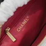 Chane Wrinkled Lambskin Size: 15 12.5 18cm - Image 9